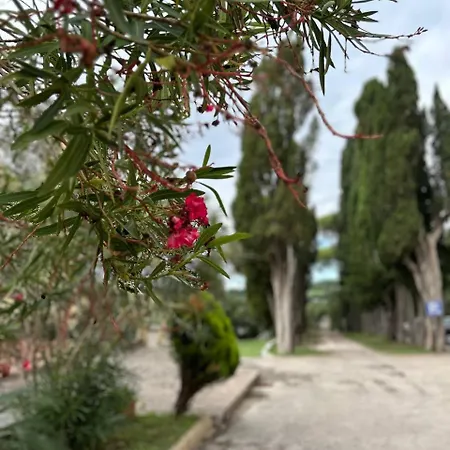 Villa Baratoff-2